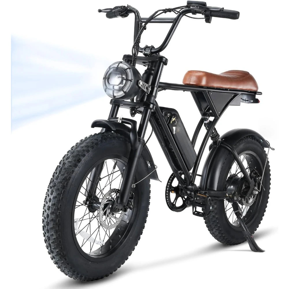 Electric Bike for Adults 750W Motor with 374.4WH Battery, , 20" Fat Tire Commuting Off Road Mountain Ebike